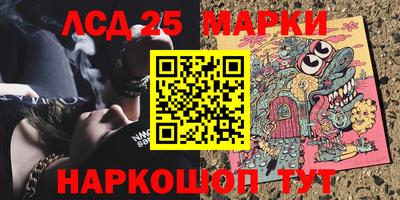 apvp Можга