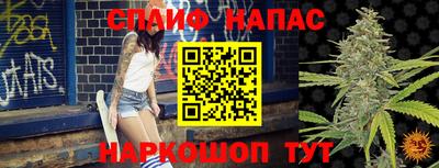 apvp Можга