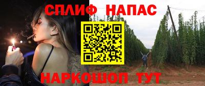 apvp Можга