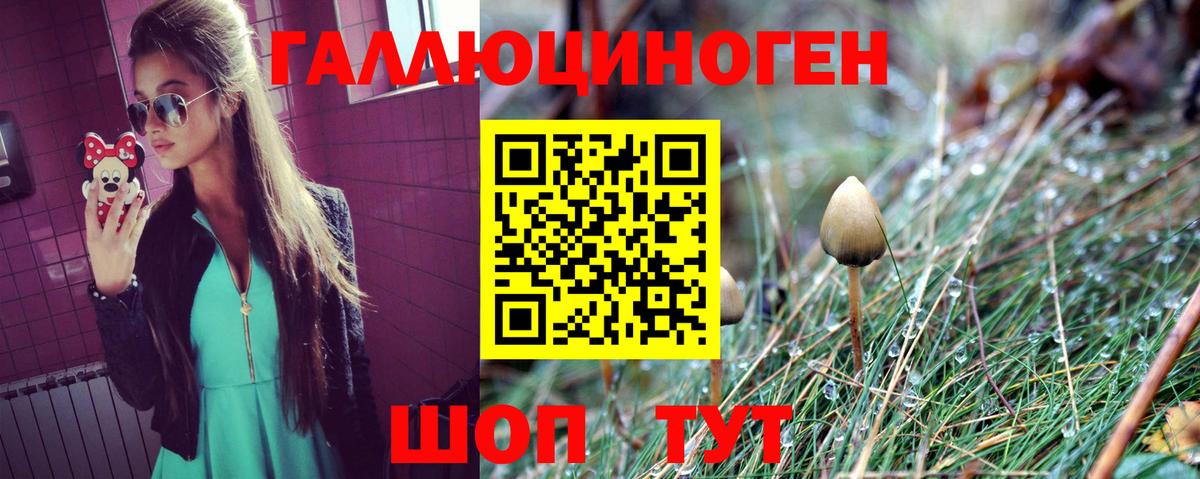 Шахты  Псилоцибиновые грибы мицелий  Вход с VPN 